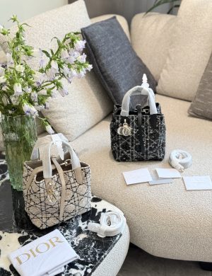 Dior Street Toujours Vertical Edition Small Woolen Handbag Practical