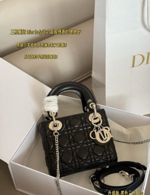 Dior Handbag by Diana D Family Princess Silver Button