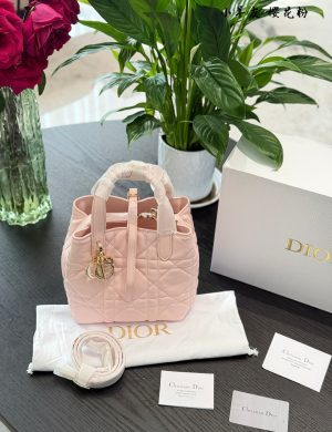Dior Indigenous Bag Pink P330 No Joke
