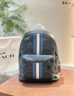 Coach Men's Large Backpack, Stylish and Upscale, with a Size of