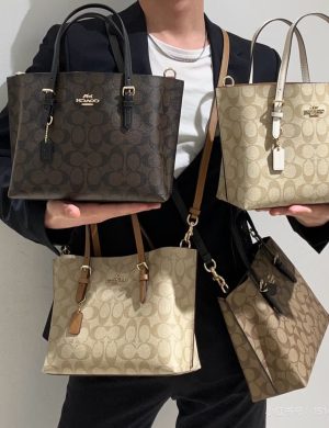 Coach Mollie 25 Open Tote Bag with Two Large Compartments