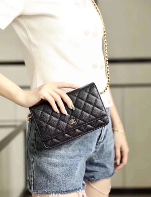 Chanel WOC Classic Wealth Bag Can Be Slung Over One Shoulder
