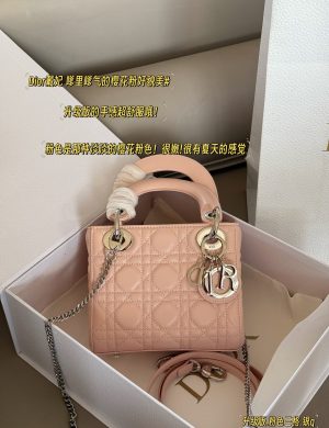 Dior Handbag by Diana D Family Princess Silver Button