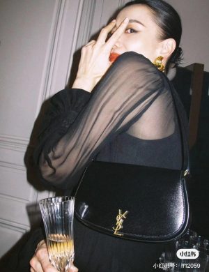 YSL New Underarm Bag Mini Half Moon Shape Simple and Unique