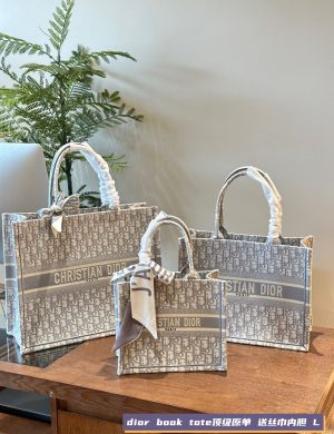 Dior Original Tote the Tote Bag