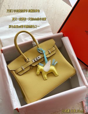 Hermès Birkin 25 Tote Bag