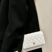 86b1751776-1.jpg