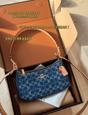 Coach Underarm Bag