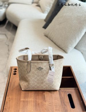 Coach Mini Tote Bag