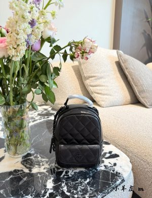 Chanel 25p Small Backpack Mini Sheepskin 14 × 19