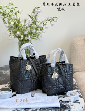 Dior Indigenous Bag P330p340 No Joke