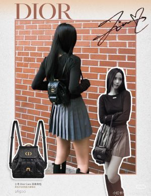 Dior Backpack