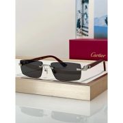 cartier-premiere-de-ct0579s-001-sunglasses-photochromic-glasses-3-464.jpg