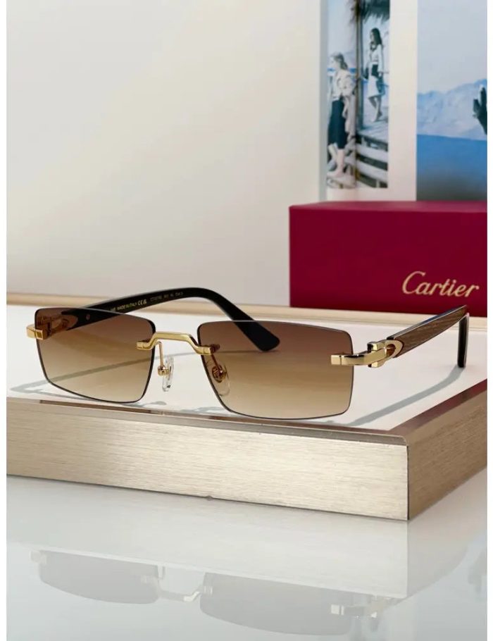 cartier-premiere-de-ct0579s-001-sunglasses-photochromic-glasses-4-742.jpg