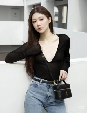YSL Makeup Bag