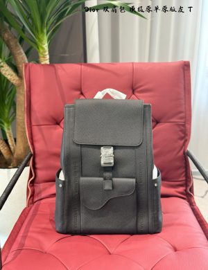 Dior Saddle