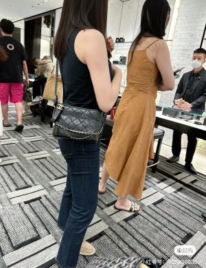 Chanel Stray Bag