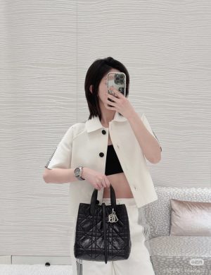 Dior25 New Indigenous Bag