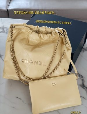 Chanel 22bag