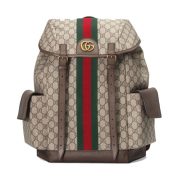 gucci-ophidia-gg-medium-backpack-bg052-arnnk.jpg